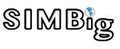 SIMBig